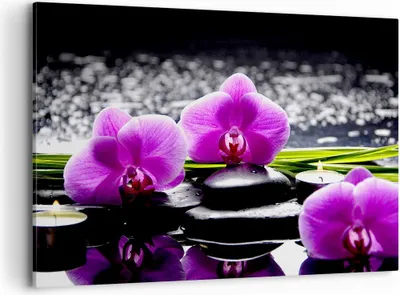 Produktbild von Bild auf Leinwand - Leinwandbild - Orchidee Natur Wasser Blume - 120x80cm - Wand Bild - Wanddeko - Leinwanddruck - Bilder - Kunstdruck - Wanddekoration - Leinwand bilder - Wandkunst - AA120x80-2658