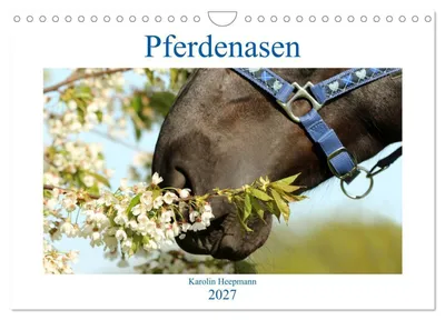Produktbild von Pferdenasen (Wandkalender 2027 DIN A4 quer), CALVENDO Monatskalender