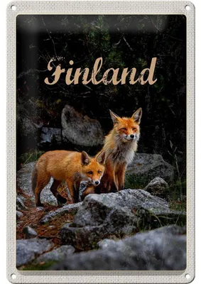 Produktbild von Blechschild Reise 20x30cm Finnland Füchse Wald Tiere Natur