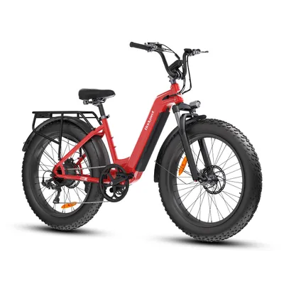 Productafbeelding van D9 Elektrische fatbike voor volwassenen, 25 km/u, 48V 15Ah, verwisselbare accu, verende voorvork, hydraulische schijfremmen, maximaal laadvermogen: 150 kg