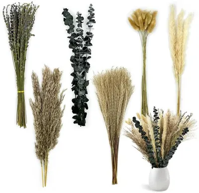 Immagine prodotto di Set Azomor con 100 fiori secchi decorativi con erba della pampa ed eucalipto, adatti a qualsiasi ambiente