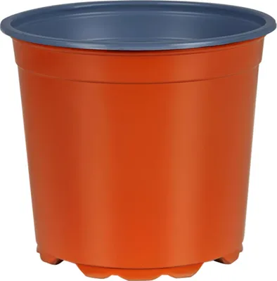 Produktbild von vidaXL Blumentopf 50 pcs Terrakotta Ø 15 x 13 cm Kunststoff