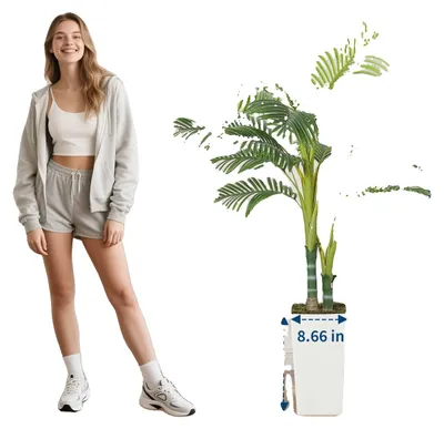 Obrázok produktu pre Umelo vyzerajúca palma, vhodná do interiéru aj exteriéru, s realistickým dizajnom, výška 150 cm