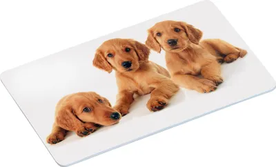 Produktbild von Kesper Frühstücksbrettchen Puppies