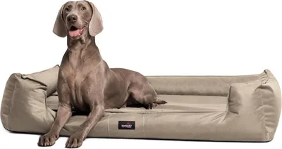 Produktbild von tierlando® Orthopädisches Hundebett GOOFY >> inkl. Matratzenschoner << Polyester - Größe: 110x90cm | Farbe: 14 Beige