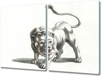 Produktbild von Coloray Schneidebrett Herdabdeckplatte 2x40x52 cm Kochplattenabdeckung Küchenbrett Hackbrett - Tier Katze Löwe