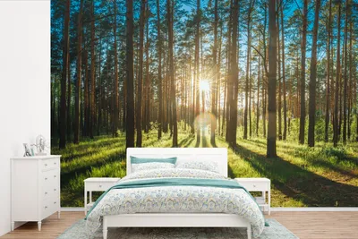Produktbild von MuchoWow® Fototapete für Wohnzimmer oder Schlafzimmer Wandtapete Vinyl Motivtapete Sonne - Bäume - Landschaft - Gras - 330x220 cm - Fototapeten