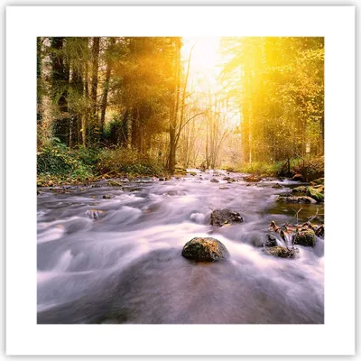 Produktbild von Poster - Poster ohne Rahmen - Herbst Wald Berg Fluss - 40x40 cm - Wand Bild - Wanddeko - Wandbilder - Kunstposter - Wandposter - Bilder - Kunstdruck - Wanddekoration - Wandbild - P2XAC40x40-0504