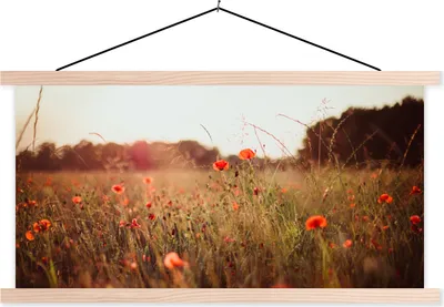 Produktbild von MuchoWow® Textilposter Sonnenuntergang - Blumen - Rot 60x30 cm mit holzfarbenen Rahmen - Dekoration