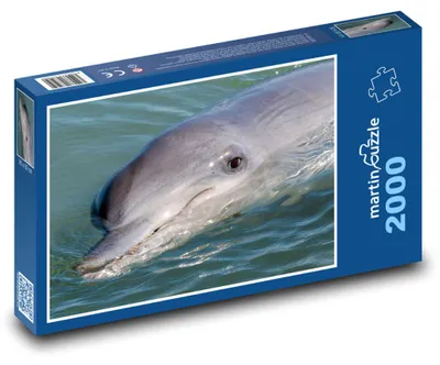 Produktbild von Puzzle 2000 Delfin in der Meeresoberfläche - martinpuzzle