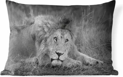 Produktbild von MuchoWow® Outdoor Kissen - Löwe - Schwarz - Tiere - 50x30 cm - Wetterfest - Lounge Kissen - Sofa kissen - Wohnzimmer Dekoration