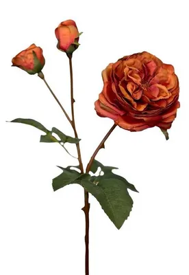 Obrázek produktu pro Jedna realistická umělá růže z hedvábí, oranžová, 55 cm