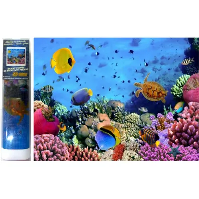 Produktbild von Norimpex Diamant-Gemä lde eines Fisches auf einer Klippe 30x40cm