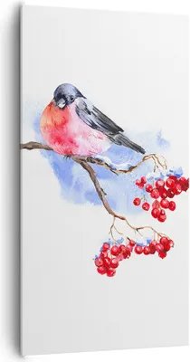 Produktbild von Bild auf Leinwand - Leinwandbild - Einteilig - Dompfaff auf Zweig - 65x120cm - Wand Bild - Wanddeko - Wandbilder - Leinwanddruck - Bilder - Wanddekoration - Leinwand bilder - Wandbild - PA65x120-4187