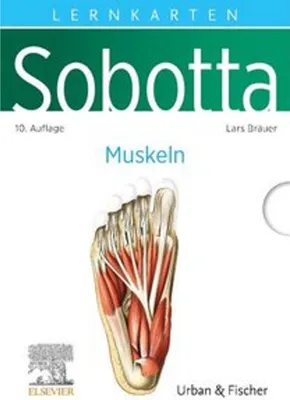 Obrázek produktu pro Sobotta Lernkarten Anatomie: Muskeln