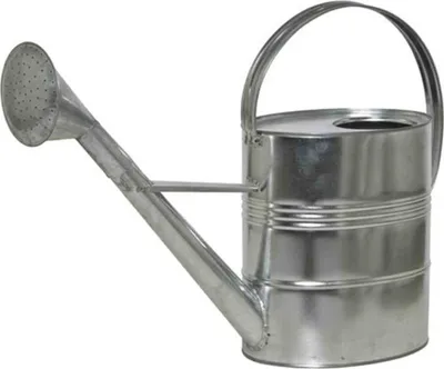 Produktbild von SIENA GARDEN Zinkgießkanne 10 l, silber