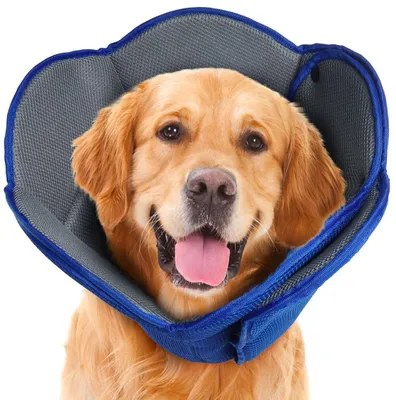 Weicher Hunde-Kegel, verstellbar, nach OP, Anti-Beiß, für große Hunde
