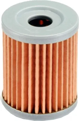 Image de Filtre à huile Polini pour Suzuki Burgman 250, Yamaha Majesty 400
