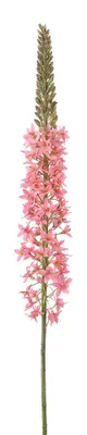 Productafbeelding van Clayre & Eef Kunstbloem Rosa, kunststof