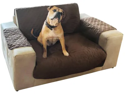Imagen del producto de Protectores para muebles "Pets Collection" - Protegen contra daños - Para 2 personas - 226 x 132 cm