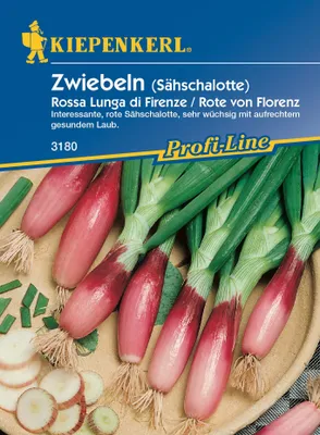 Produktbild von Lauchzwiebel / Zwiebeln (Sähschalotte) Rossa Lunga di Firenze / Rote von Florenz