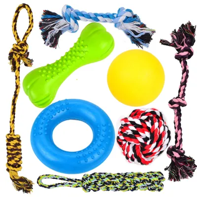 Produktbild von Set von 8 Spielzeugen für kleine Hunde
