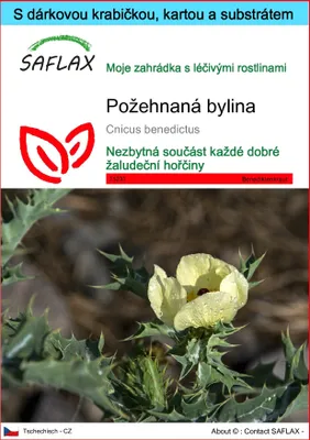 Obrázek produktu pro SAFLAX Dárková sada - požehnaná bylina - Cnicus benedictus - 50 Semena - S dárkovou krabičkou, přepravním štítkem, dárkovou kartou a pěstebním médiem
