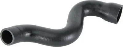 Obrázek produktu pro Hadička plnicího vzduchu THERMOTEC DCW019TT