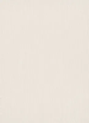 A plain, textured background.