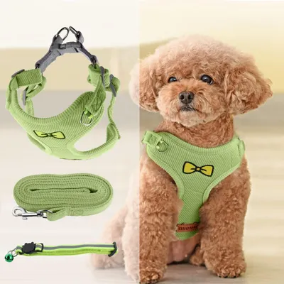 Image de Harnais pour chien, petite taille, réglable, respirant, idéal pour les chiots