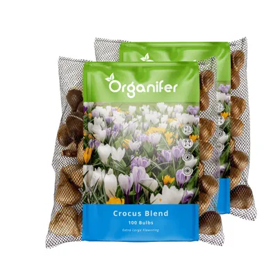 Produktbild von 200 Krokuszwiebeln – großblumige Mischung (XXL Blumenzwiebeln Größe 8/9 cm) - Organifer
