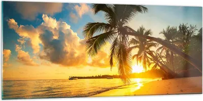 Produktbild von Bilder auf glas - Meer Strand Palme - 120x50cm - Glasbilder - Wandbilder - Kunstdruck - zum Aufhängen bereit - Wanddekoration aus Glas - Glas Bilder - Wandbild auf Glas - Einteilig - GAB120x50-3922