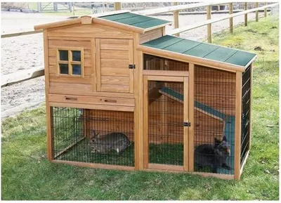 Imagen del producto de Silecomplaza - Jaula para animales pequeños Fortuna