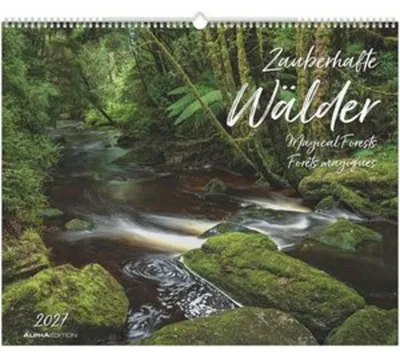 Produktbild von Wandkalender Zauberhafte Wälder 2027, 52x42,5 cm, Spiralbindung, übersichtliches Kalendarium