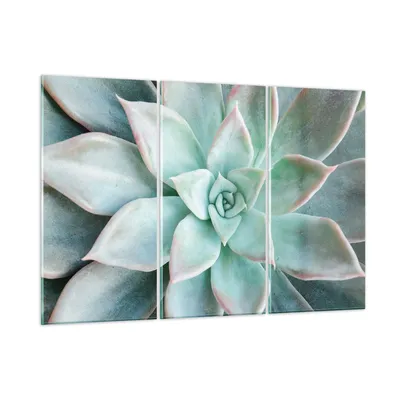 Produktbild von Bilder auf glas - 3 Teile - Blau Blätter Agave - 105x70cm - Glasbilder - Wandbilder - Bilder - zum Aufhängen bereit - Wanddekoration aus Glas - Glas Bilder - Wandbild auf Glas - GCE105x70-4628