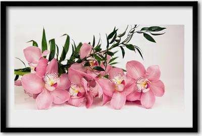 Produktbild von Bild 60x40 MDF-Rahmen Wandkunst Orchideen-Blumen Spa