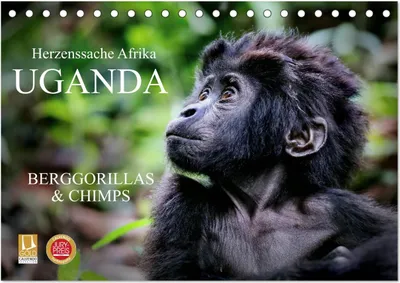 Produktbild von UGANDA - Berggorillas & Chimps (Tischkalender 2025 DIN A5 quer), CALVENDO Monatskalender