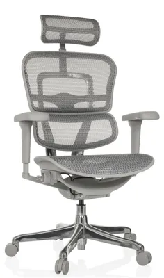 Produktbild von hjh OFFICE Luxus Chefsessel ERGOHUMAN ULTRA G GEN2 Ergonomischer Bürostuhl mit Armlehnen (höhenverstellbar) Netzstoff Drehstuhl für Büro, Zuhause