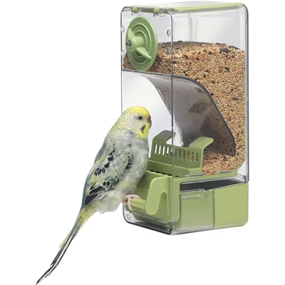 Produktbild von Automatischer Vogelfutterspender mit Sitzstange – für Wellensittiche, Kanarienvögel & kleine Papageien, grün