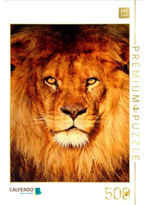 Produktbild von CALVENDO Puzzle Löwenportrait | 500 Teile Lege-Größe 48 × 36 cm Foto-Puzzle für Erwachsene