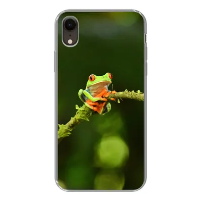 Produktbild von MuchoWow® Handyhülle Schutzhülle Hülle für iPhone XR Frosch - Äste - Grün Silikon Softcase Handy Hülle - Schutzdeckel