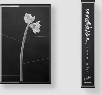 Immagine prodotto di Dreamweaver (Cassette+MP3)