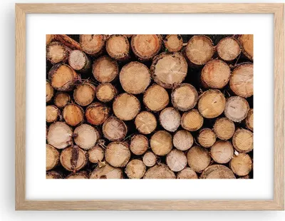 Produktbild von Gerahmtes Poster - Rahmen in heller Eiche - Holz Baumstämme Stämme - 40x30 cm - Wand Bild - Wanddeko - Wandbilder - Kunstposter - Wandposter - Bilderrahmen - Bilder - Kunstdruck - P2NAA40x30-4864