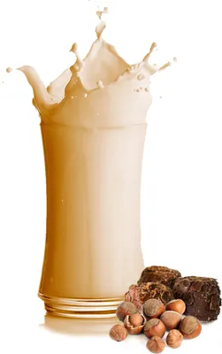 Obrázok produktu pre Noisette milkshake prášok 1 kg