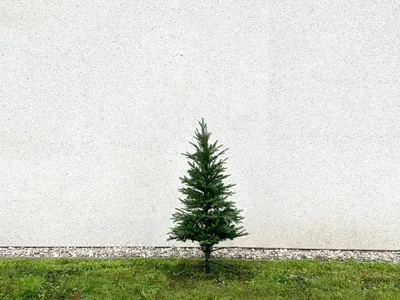 Produktbild von Outgarden Grün 150 cm Künstlicher Weihnachtsbaum Nordmanntanne Noble