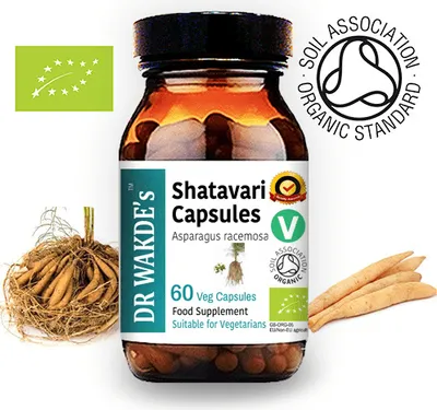 Produktbild von DR WAKDE'S Shatavari Kapseln (Asparagus racemosa) | 60 Vegi Caps | Ayurveda-Supplement | Vegan | 100% Kräuter | Mengenrabatte | Am selben Tag Versand