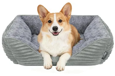 Hundebett M für kleine Hunde, Grau, 63x53x19 cm