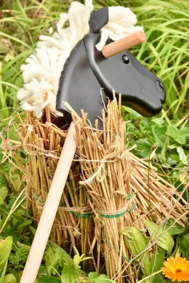Produktbild von Hobby Horse Steckenpferd "Rappe"