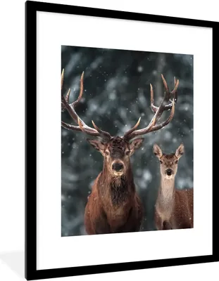 Produktbild von MuchoWow® Gerahmtes Poster Hirsche - Tiere - Winter - Geweih - Schnee - Natur 60x80 cm - Poster mit Schwarzem Bilderrahmen Wandposter Rahmen Foto Bilder - Wohnzimmer - Dekorationen - Prämie