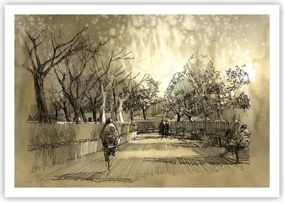 Produktbild von Poster - Poster ohne Rahmen - Park Spaziergang Baum - 100x70 cm - Wand Bild - Wanddeko - Wandbilder - Kunstposter - Wandposter - Bilder - Kunstdruck - Wanddekoration - Wandbild - P2XAA100x70-3758